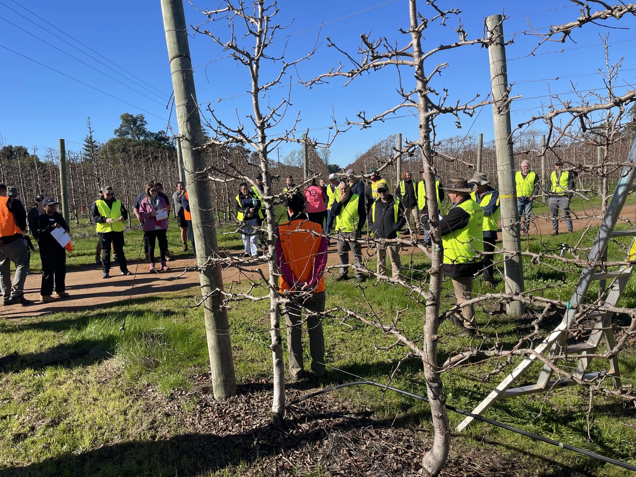 Atendees in the orchard 1.jpeg