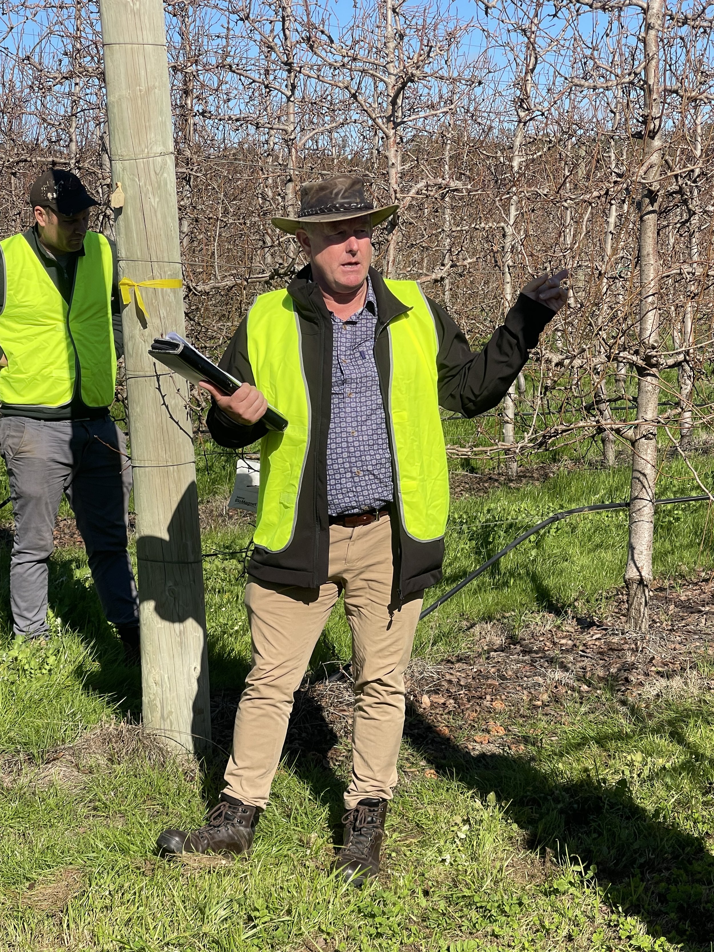 AGfirst consulantant in the pear orchard.jpeg