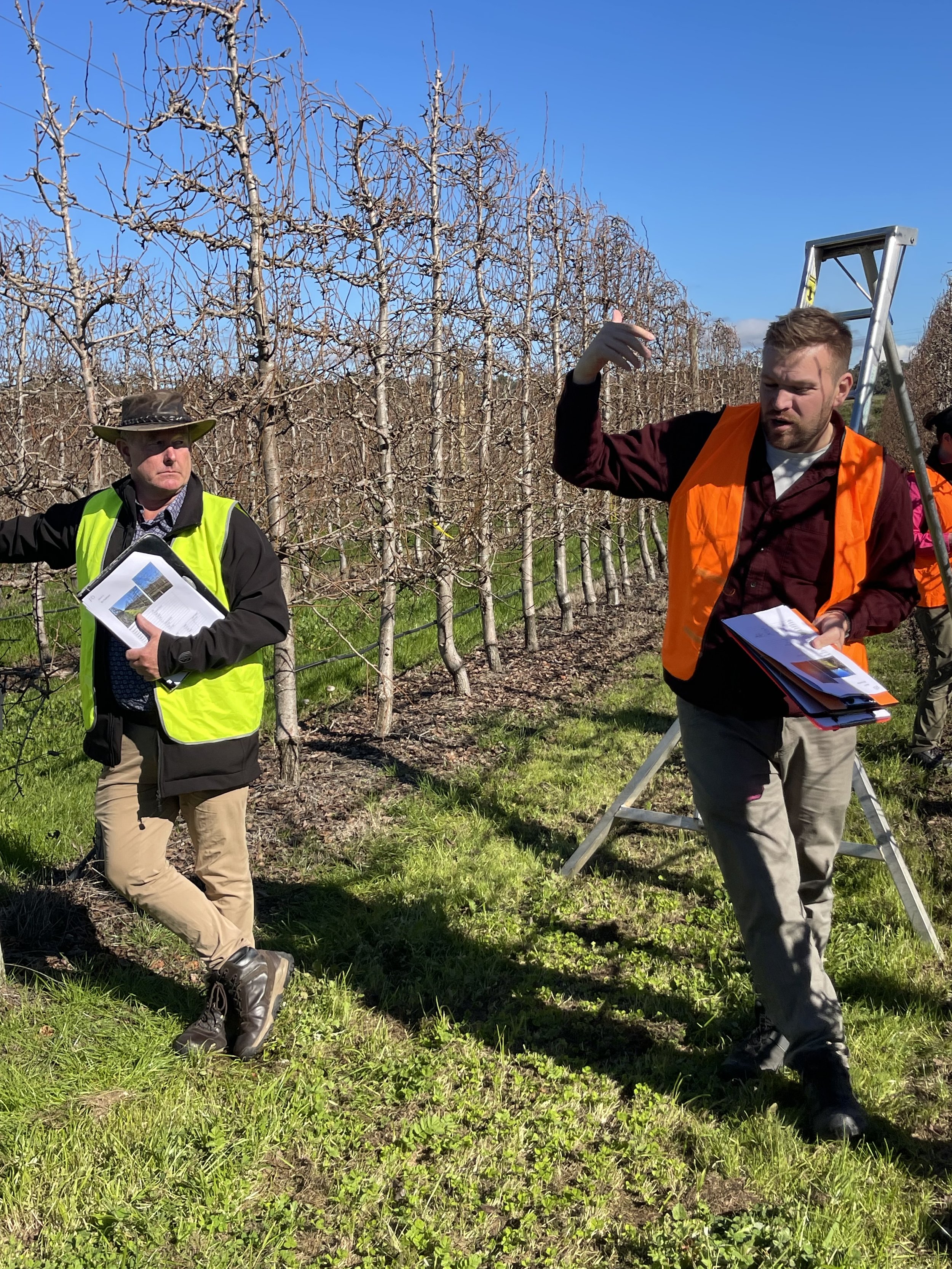 Agfirst and Nic Finger in the pear orchard.jpeg
