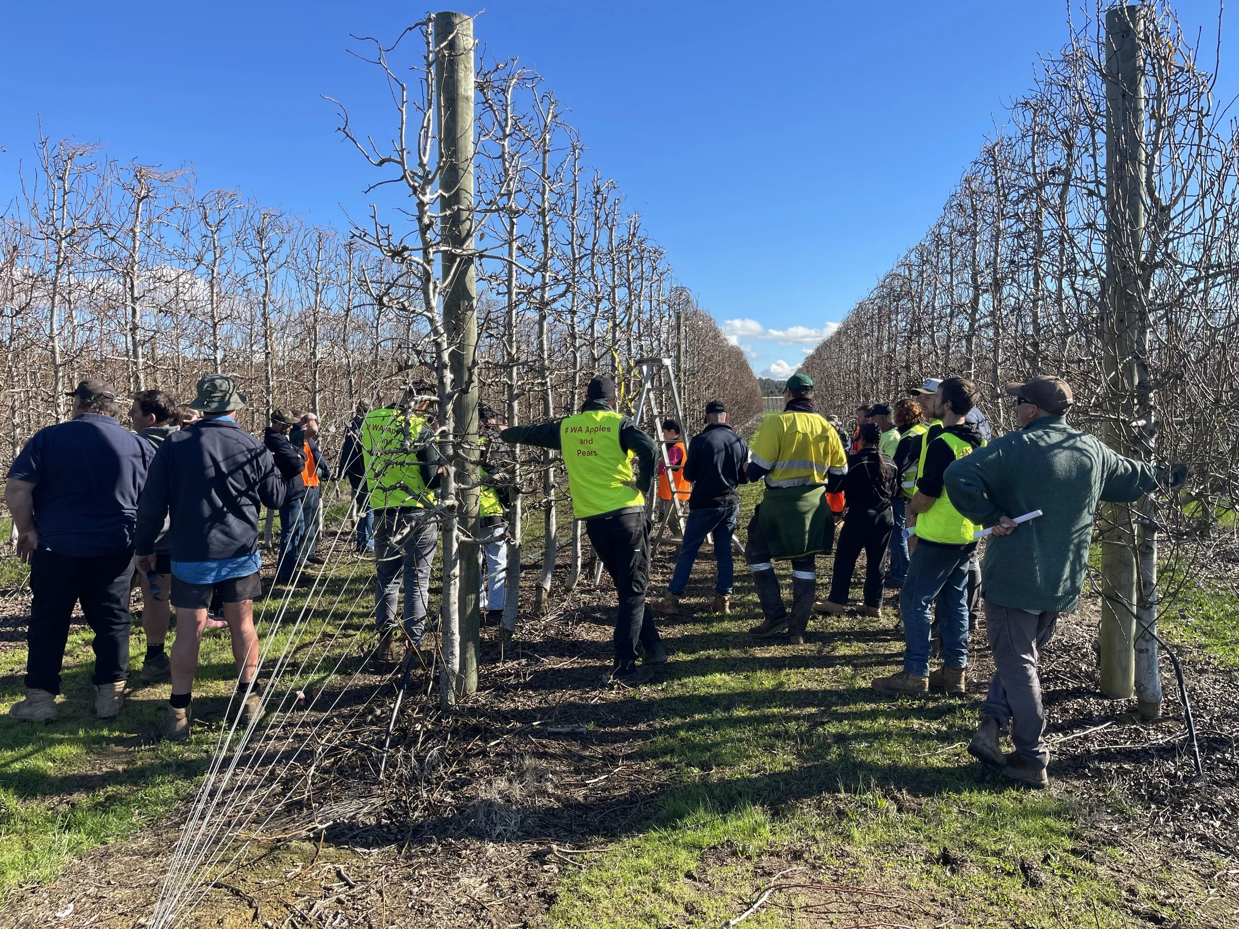 Group shot from behind in the orchard.jpeg