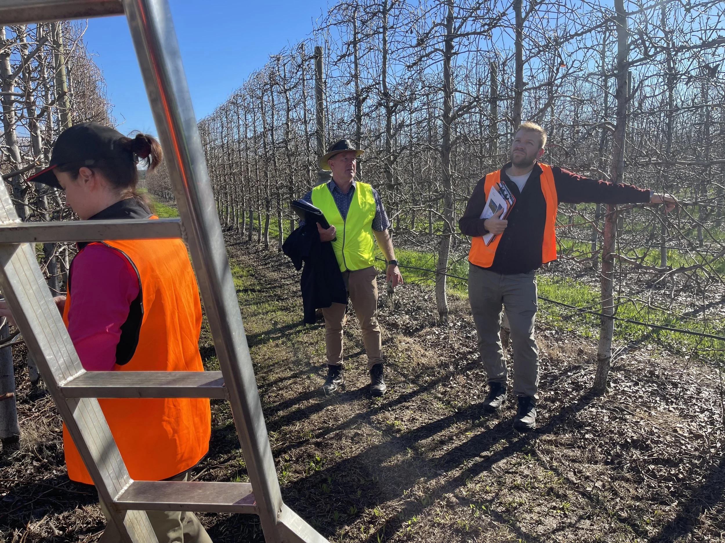 Consultants in the orchard.jpeg