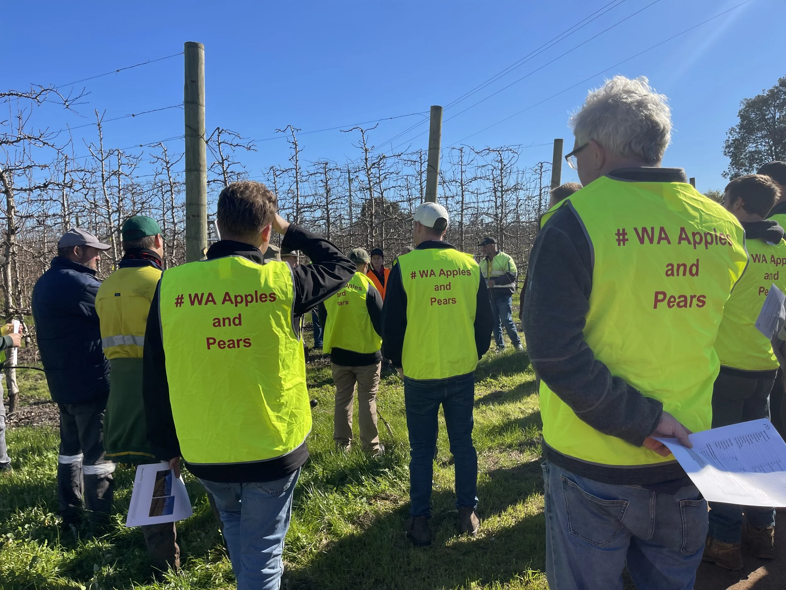Rear view of high vis #wa apples and pears.jpeg