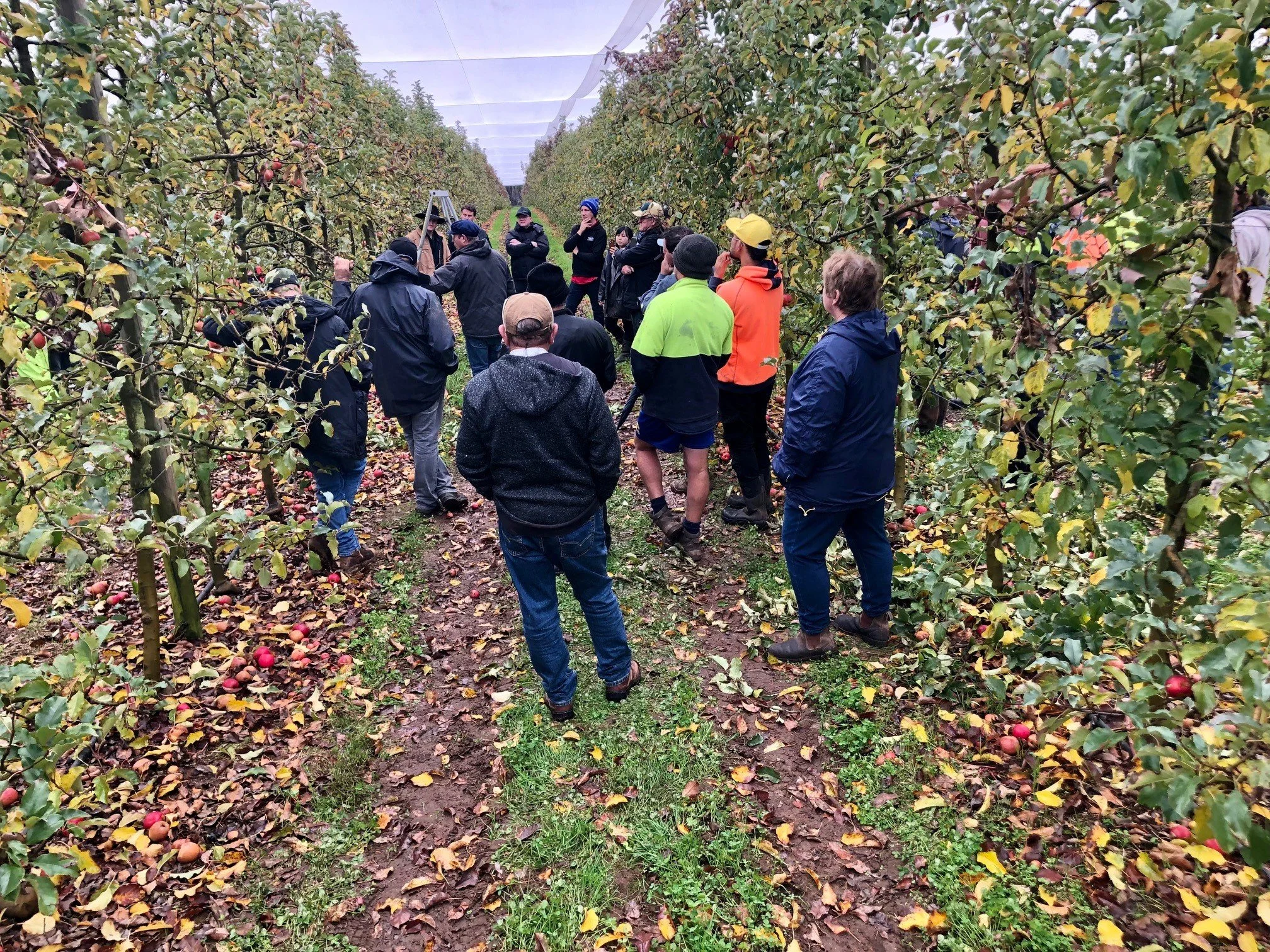 WA Spring Orchard Walk