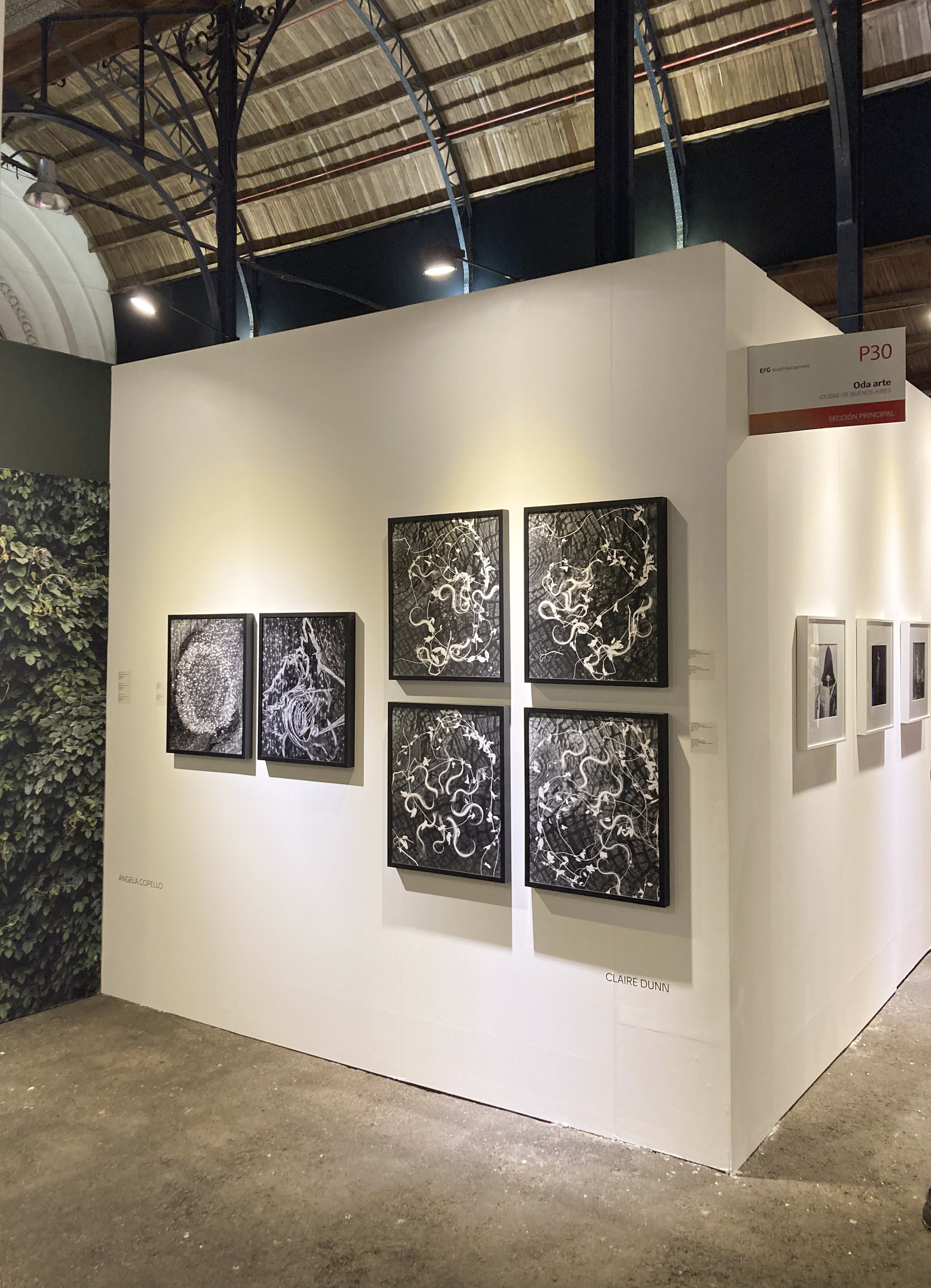 Pinta BAphoto fair with OdA art gallery, La Rural, Buenos Aires, Argentina