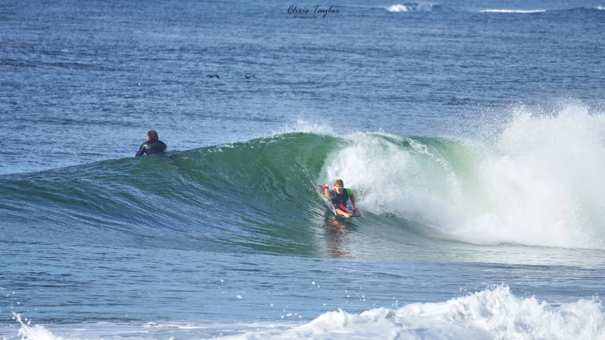 Season 2026 Membership Junior