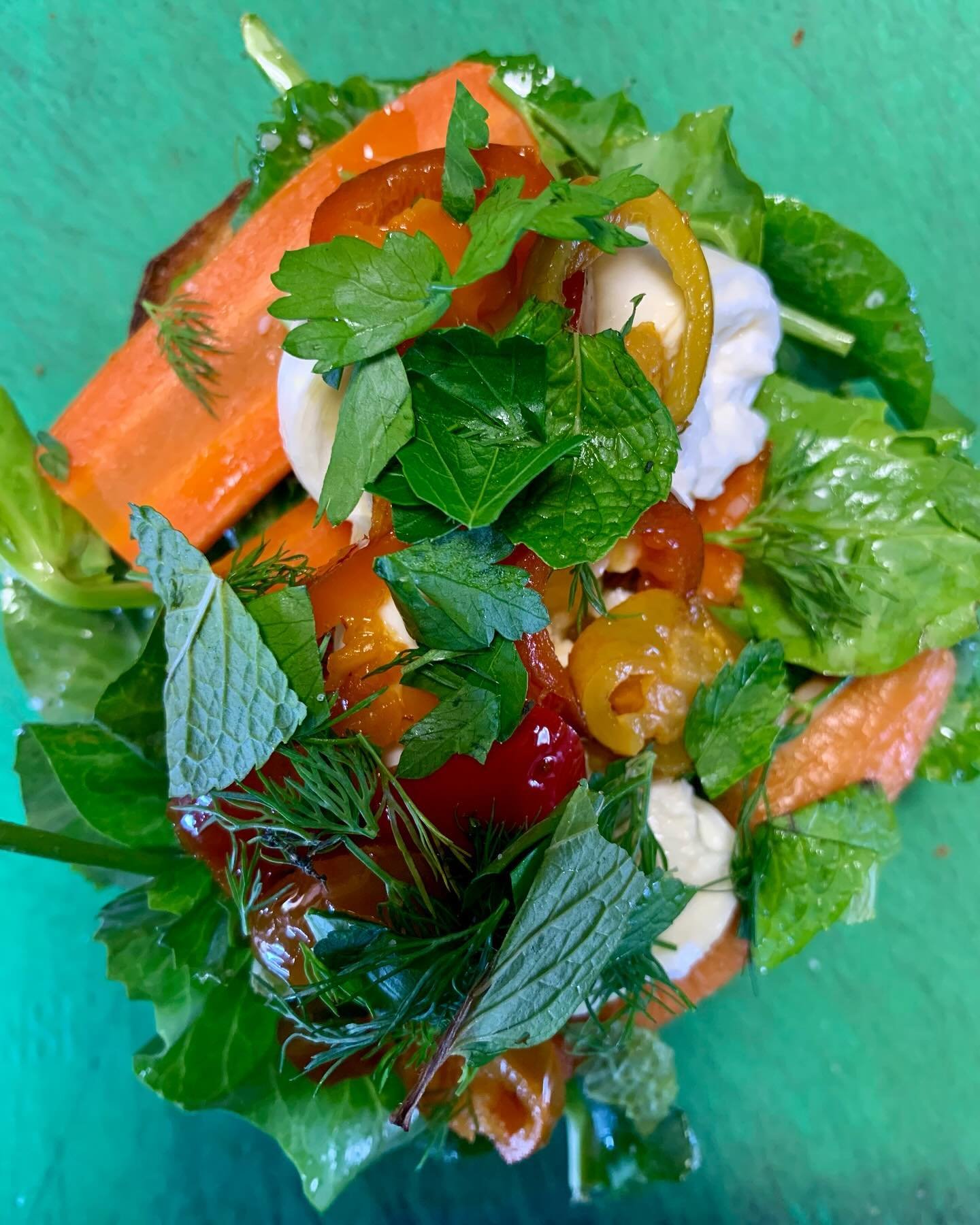 This gorgeous stack of vegetation is actually a sandwich! Fava tops, slow roasted carrot, pickled chilies, burrata, &amp; fresh herbs. Spring time sandwich time. Bread is just a vehicle for to taste the season??? I&rsquo;m sticking with that. Be here
