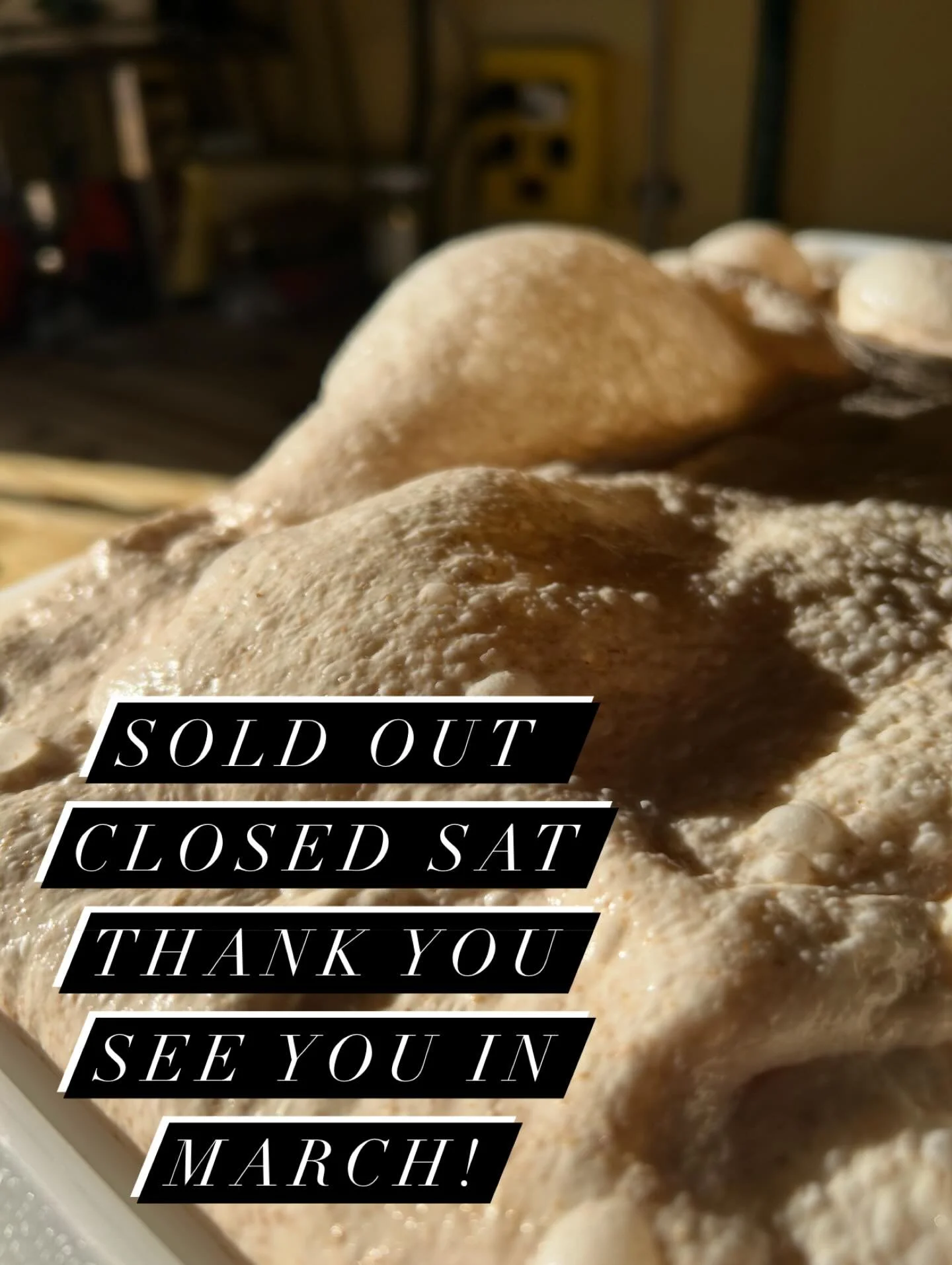 We have zero product left in the truck so we are done for the season! Thank you everyone so much. I&rsquo;m thrilled to be taking some space for myself. See you in March. Feel free to reach out for any catering, private cheffing, workshops, retreats,