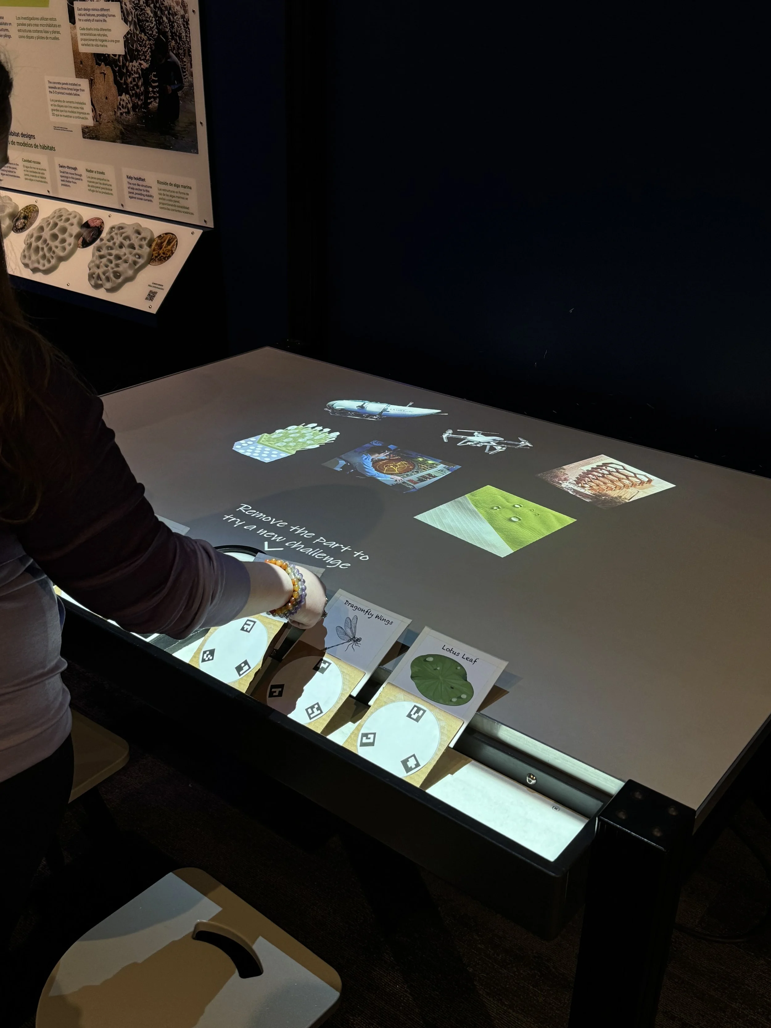 NATURE’S PLAYBOOK FOR INNOVATION