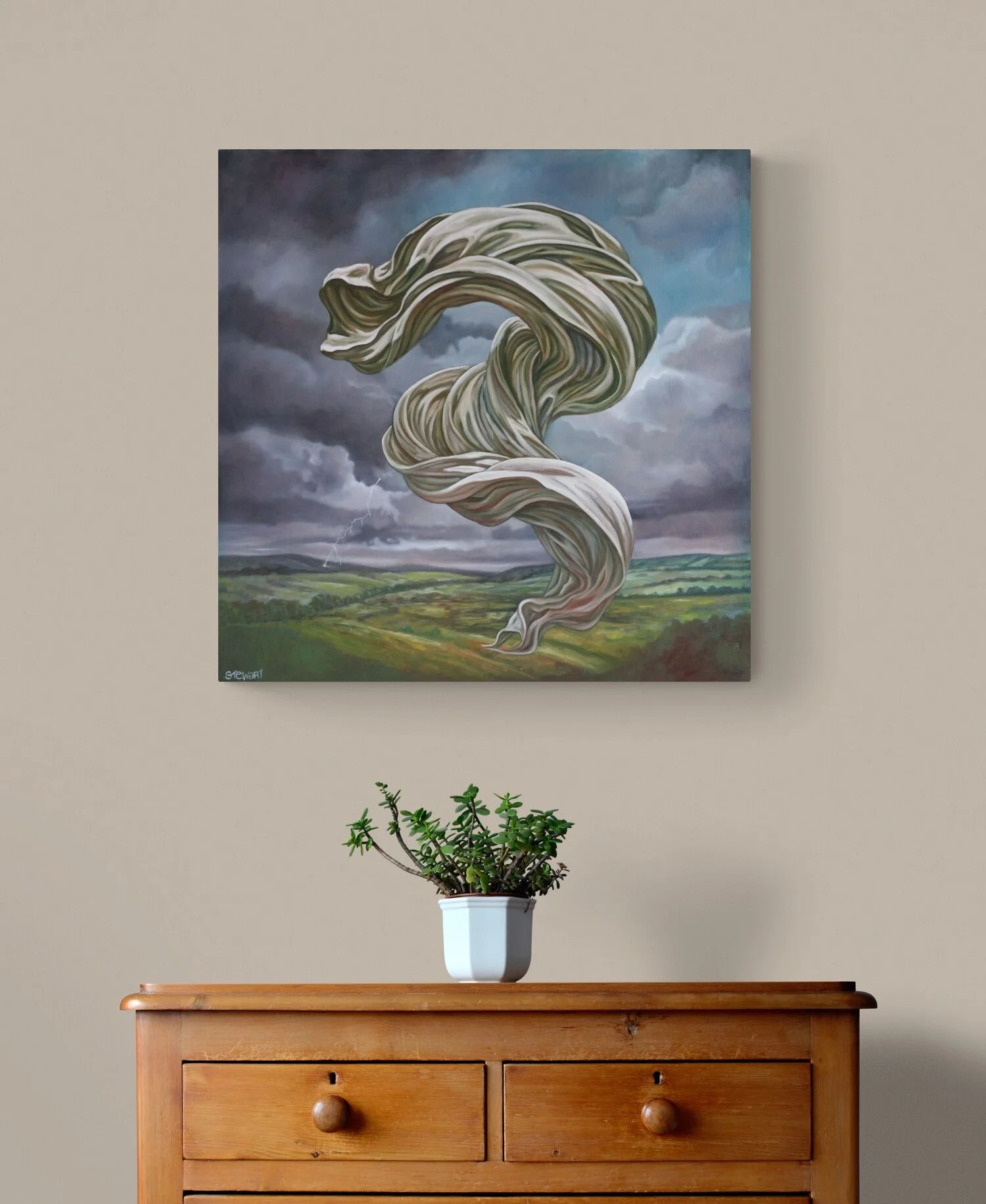 plant-on-wooden-drawers.jpg