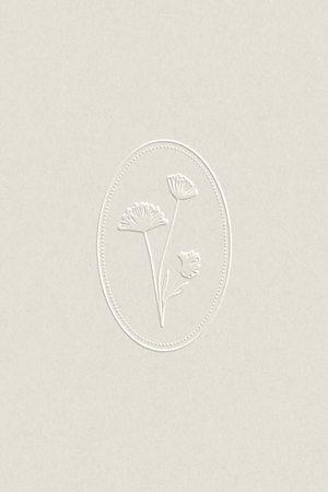 Portfolio — Ally May Design Studio