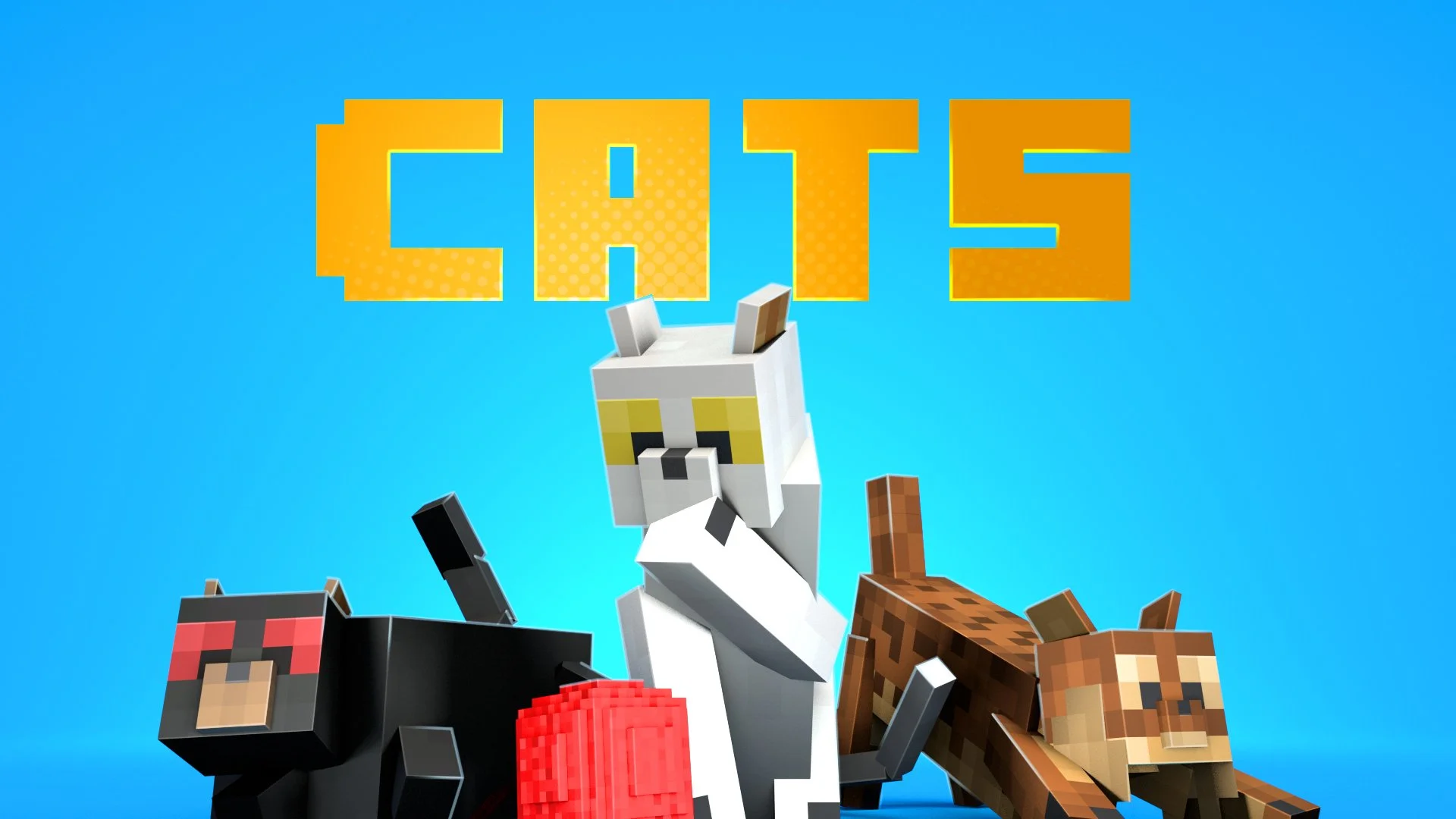 SS Cats.jpg