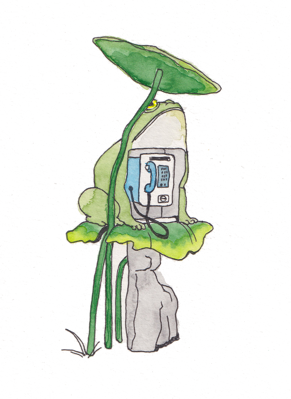 frogphone_w.png