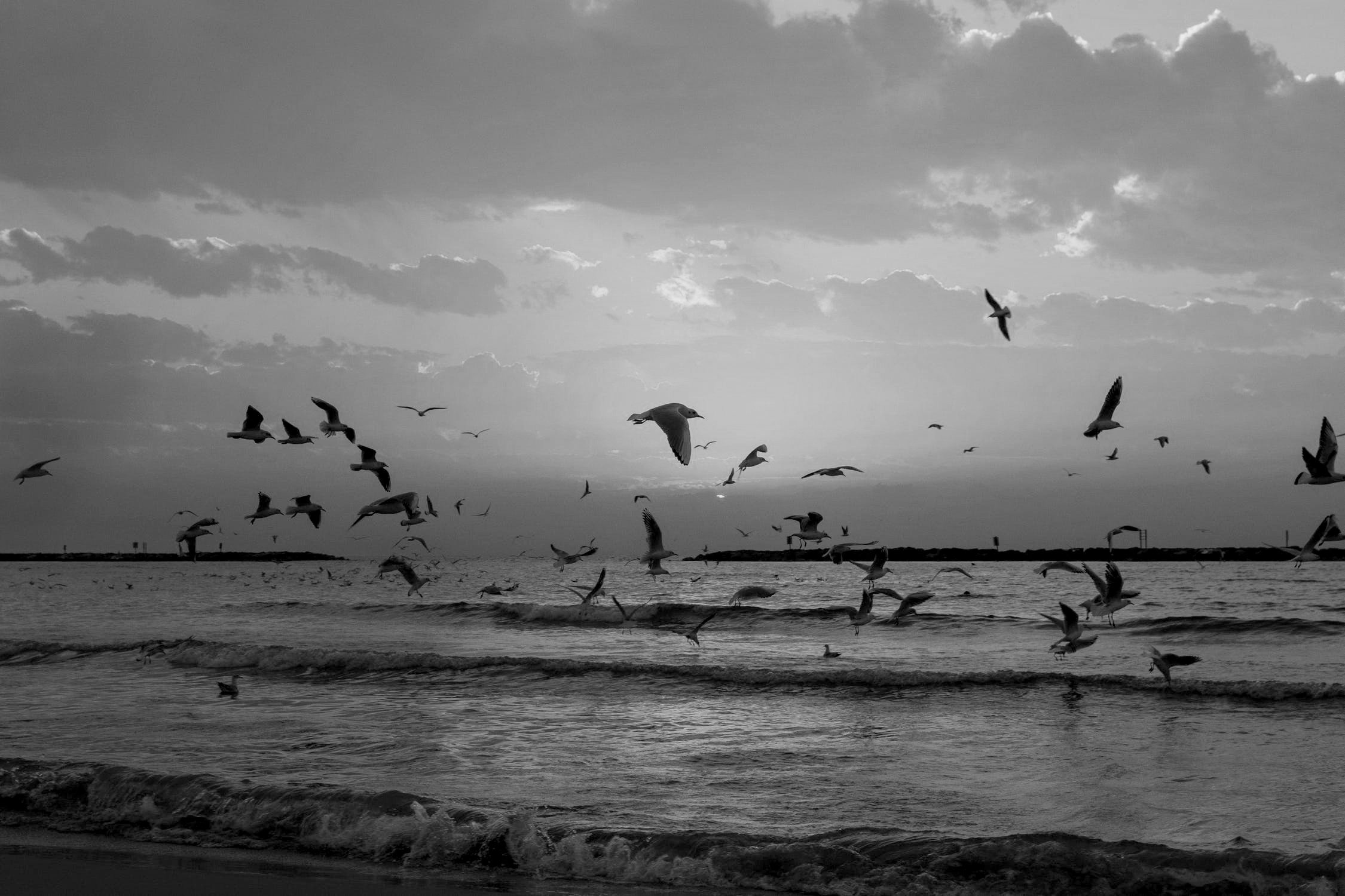 Untitled-6.jpg
