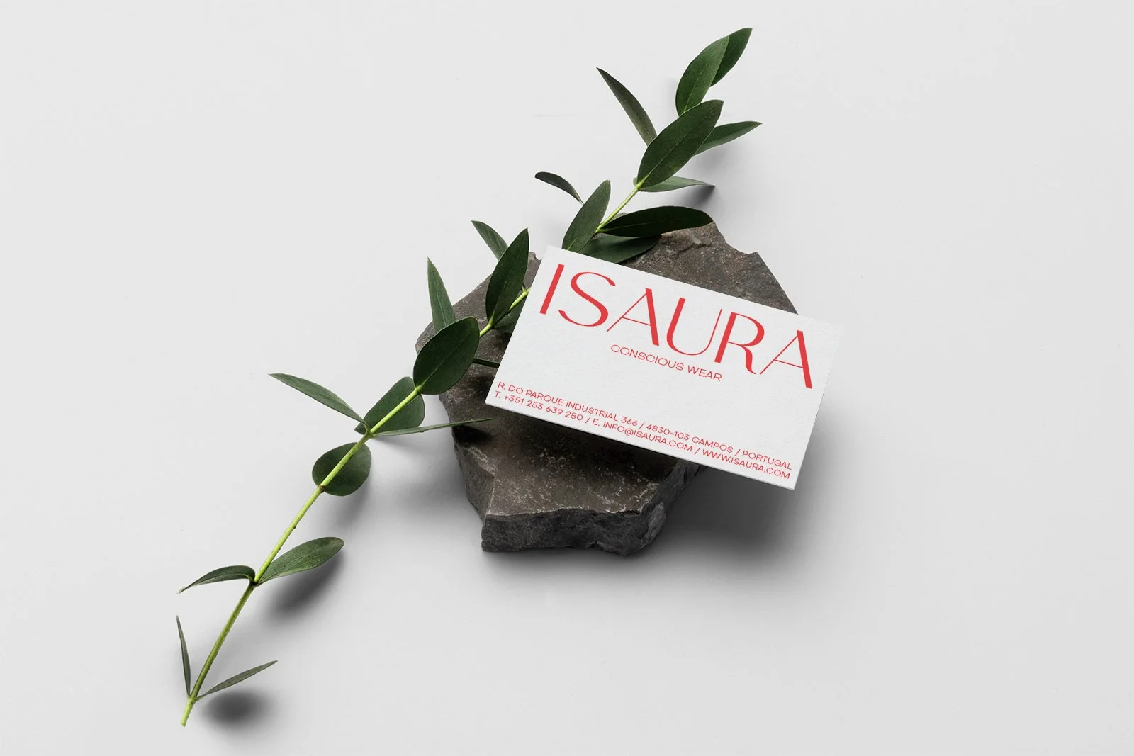 t3-businesscard1.jpg