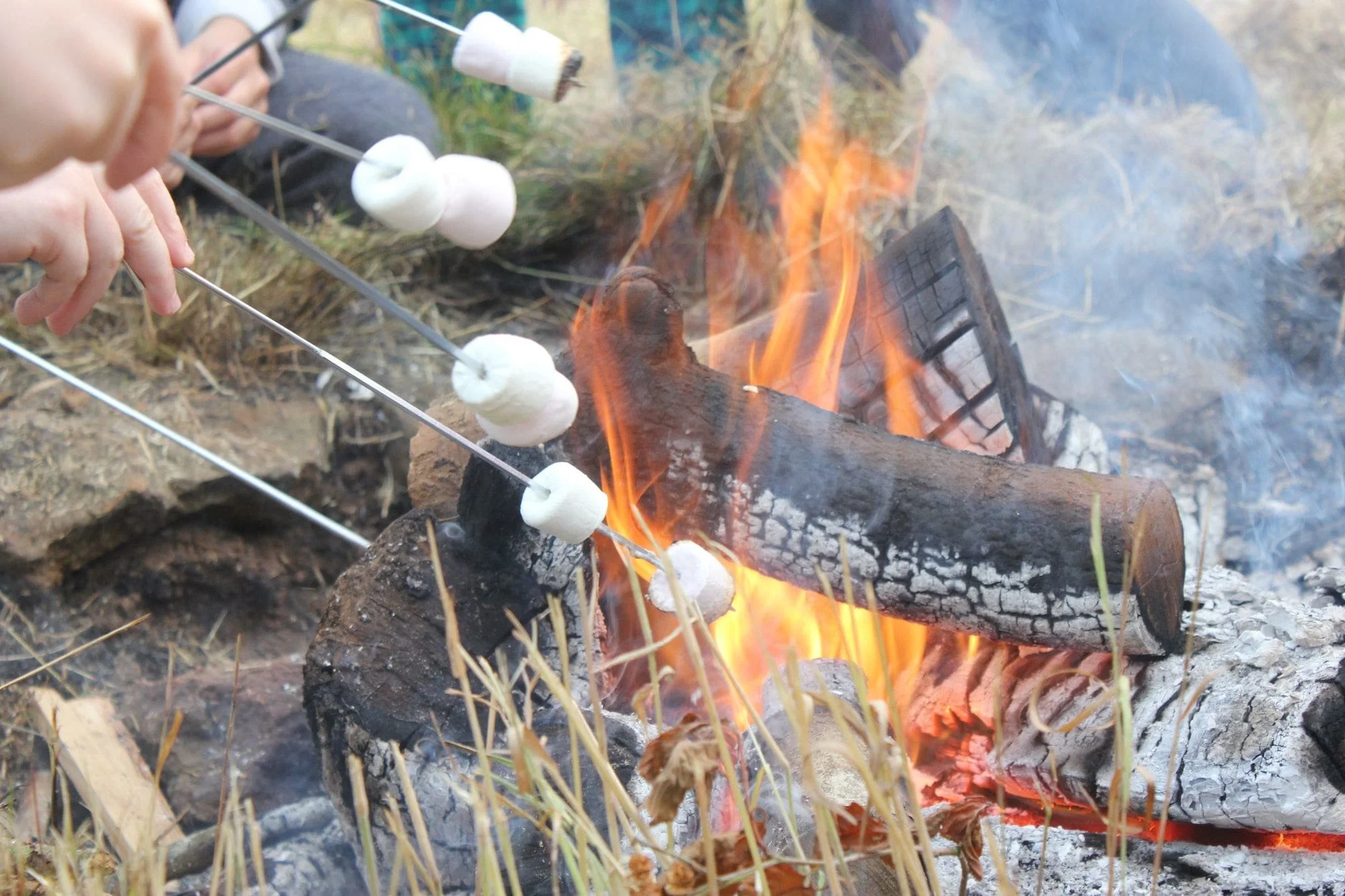 PFMC 2015 best - 27 marshmallows copy-min.jpeg