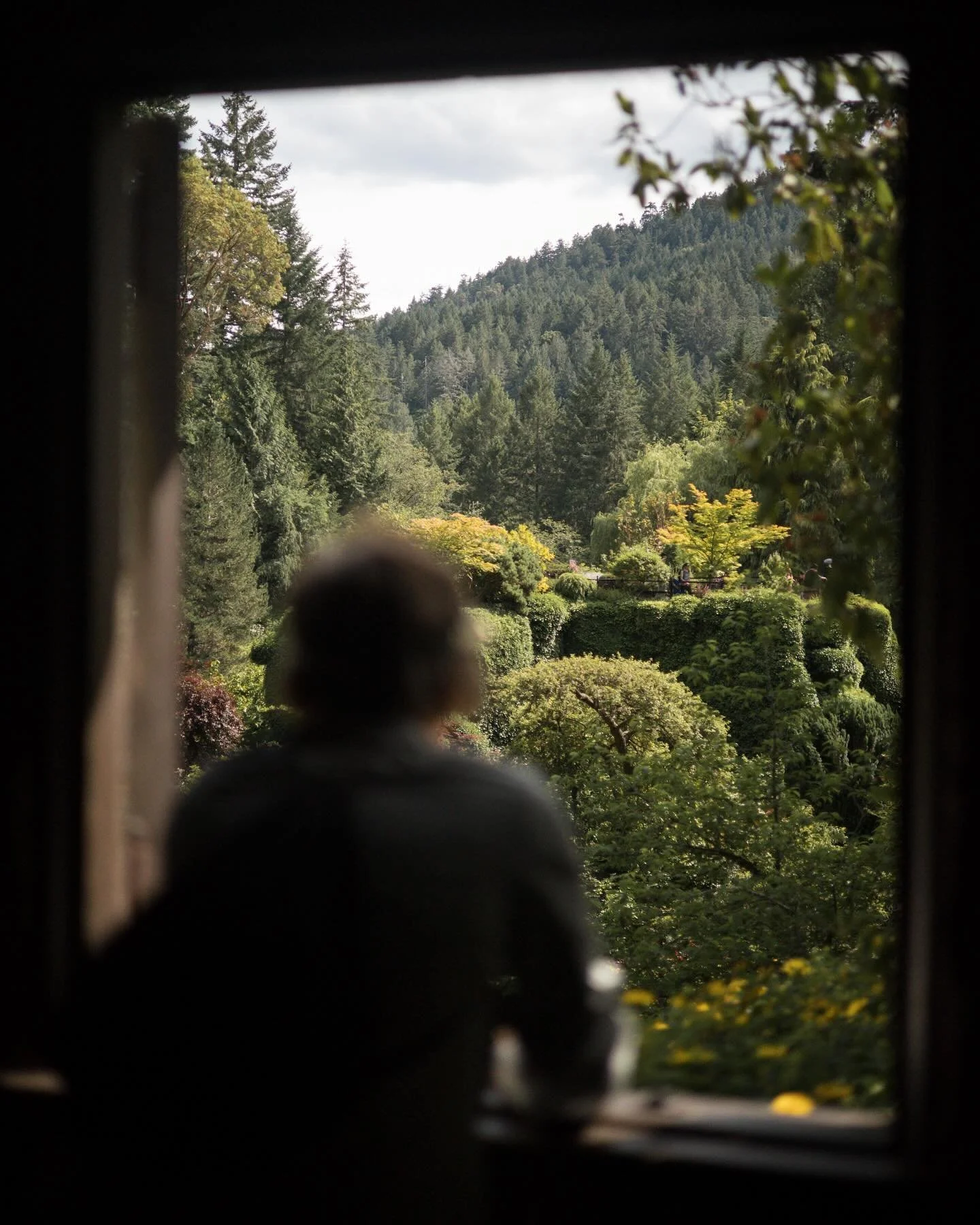 Fuelling up on the scent of red cedar and salt ~ 

Vancouver Island in June.

Humbled by the surf, heartened by the forests and absolutely delighted by the sight of slugs the size of dinner plates.