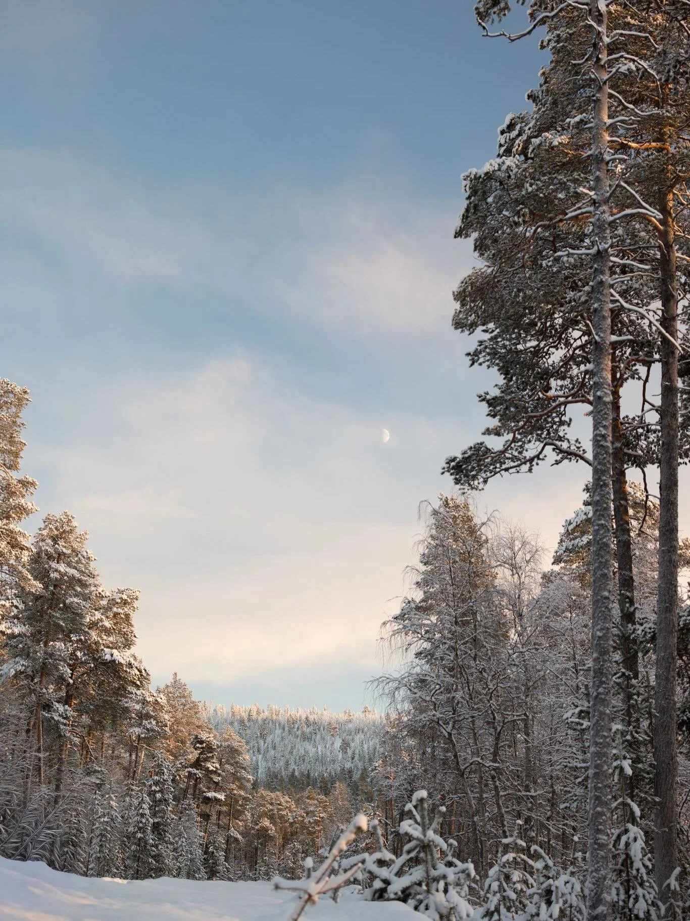 Postcards from the Arctic x