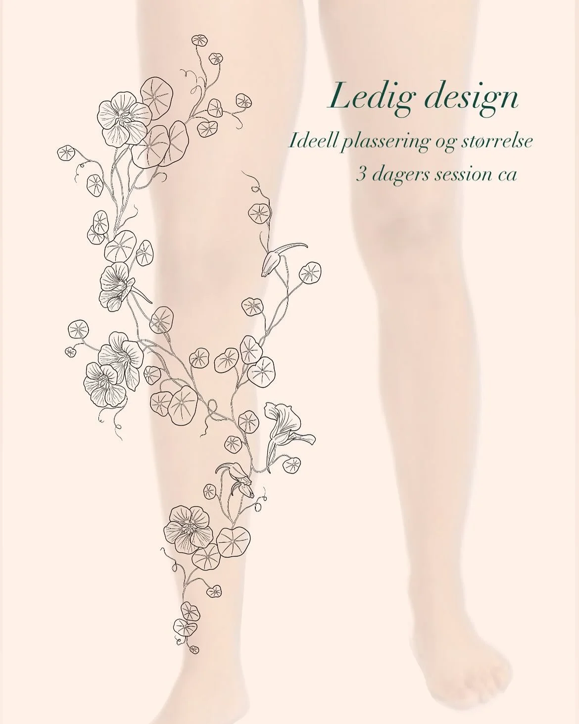 TATT. Blomkarsen er ikke bare vakker, den er ogs&aring; spiselig! Blader, blomster og fr&oslash; kan brukes i matlaging og den smaker litt pepperaktig.

Det p&aring;st&aring;s ogs&aring; at den har medisinske egenskaper og har blitt brukt til &aring;