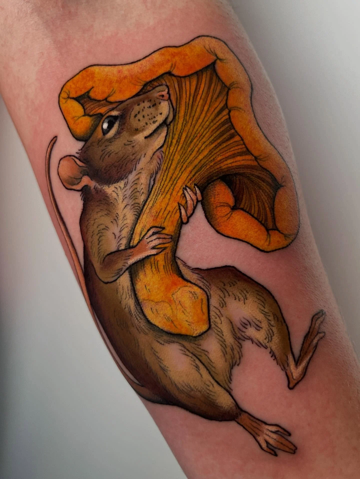 Nina er en felles sopp-entusiast s&aring; da m&aring; man naturligvis ha en mus som elsker kantarell. 
Tusen takk for fin id&eacute; og hyggelig time, Nina!

Booking: LinnAasne@gmail.com
@ambrosia.studioo 

#mouse #mousetattoo #chantarelle #chantarel