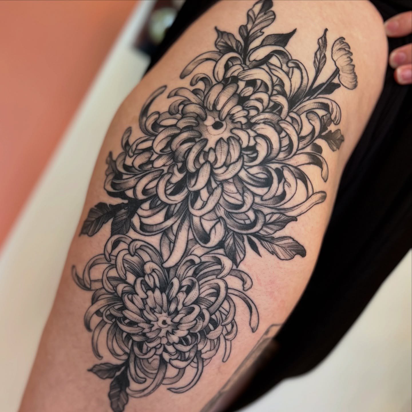 A big healed cutie! 
Booking last 2 days of August now + September and October ✨👌