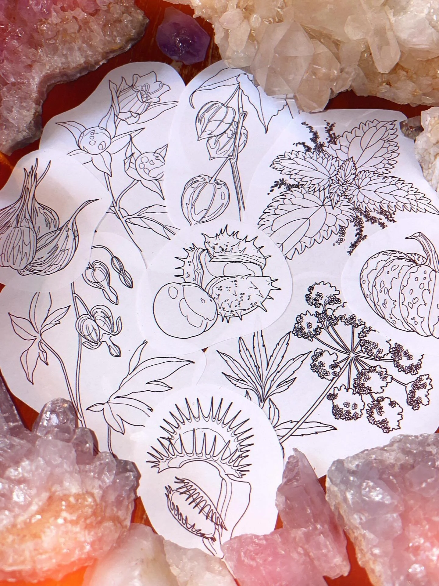 Her er mine mystiske, magiske og spooky planter til Halloween eventet! 
1 november vil jeg tatovere disse til en hyggelig pris, full farge, kun armer eller bein.
Pris 1000kr - 1500kr. Str 7-12 cm s&aring;nn ca.
De vil v&aelig;re tilgjengelig etter de