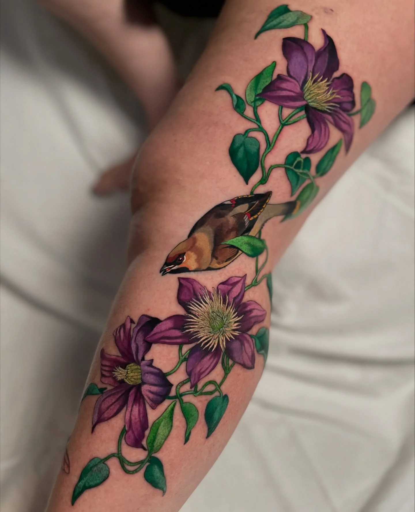 Klematis, Sidensvans og en Gullbasse! Tusen takk for at jeg fikk lage denne p&aring; deg Therese🖤
To sessions, linjer og Sidensvans er ferdig grodd.

Booker n&aring; januar og utover.
Booking: LinnAasne@gmail.com
@ambrosia.studioo 

#gullbasse #side