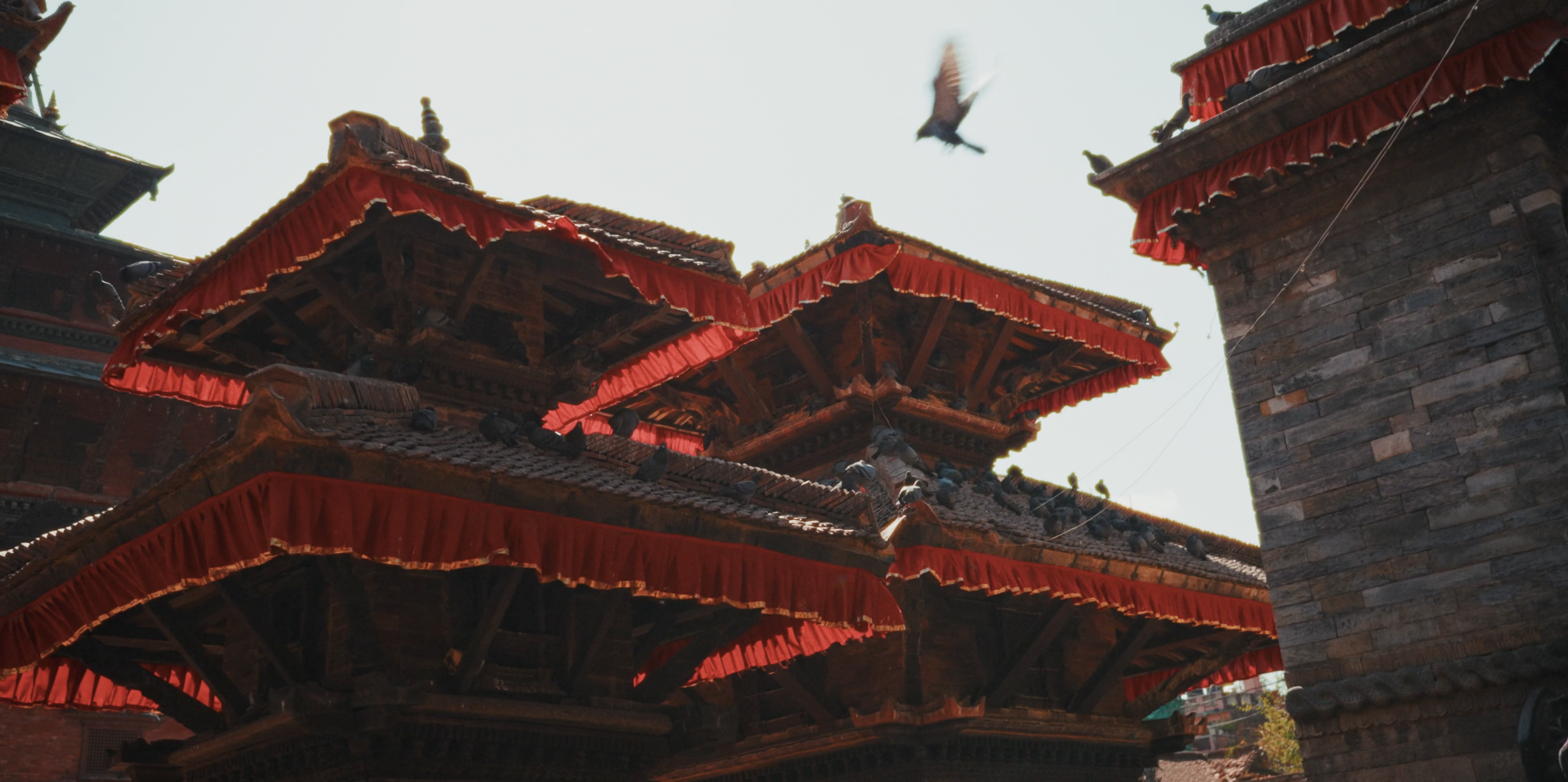 Screenshot 2026-03-09 at 10.36.19.png