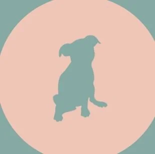 Puppies pamper