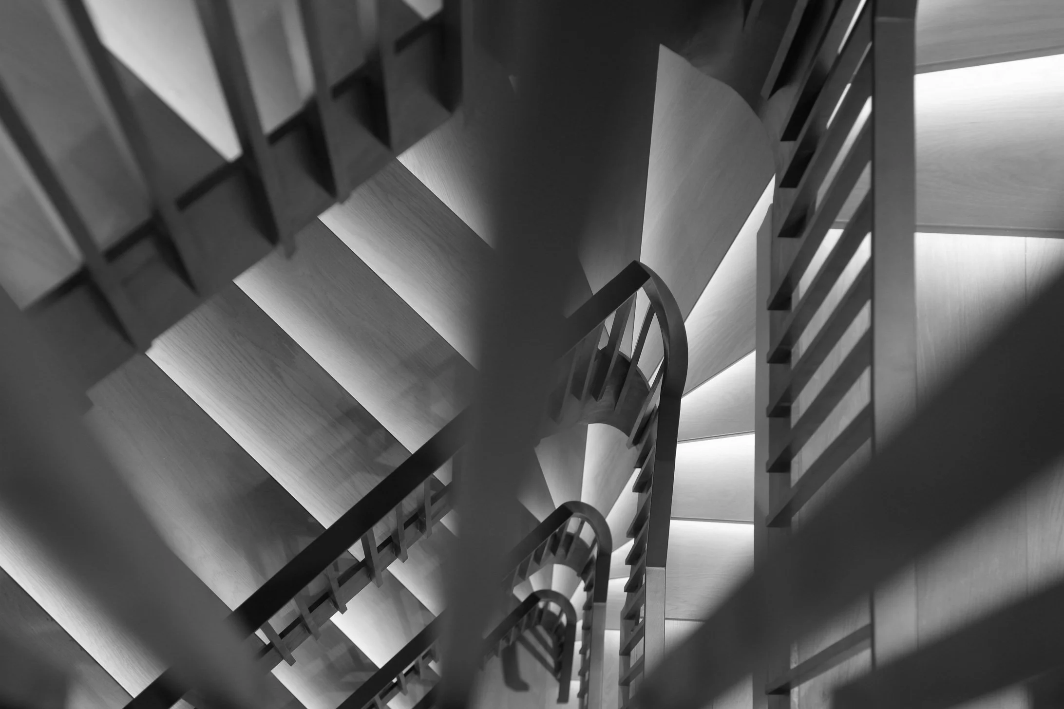 D_Wilson-Banner-2.jpg