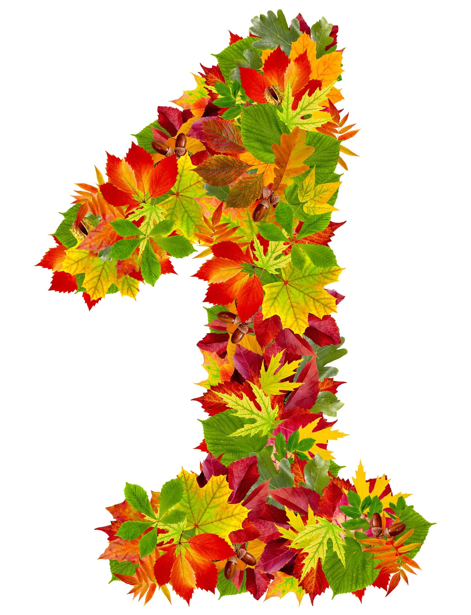 🍂Goodbye August, Welcome September 🍂