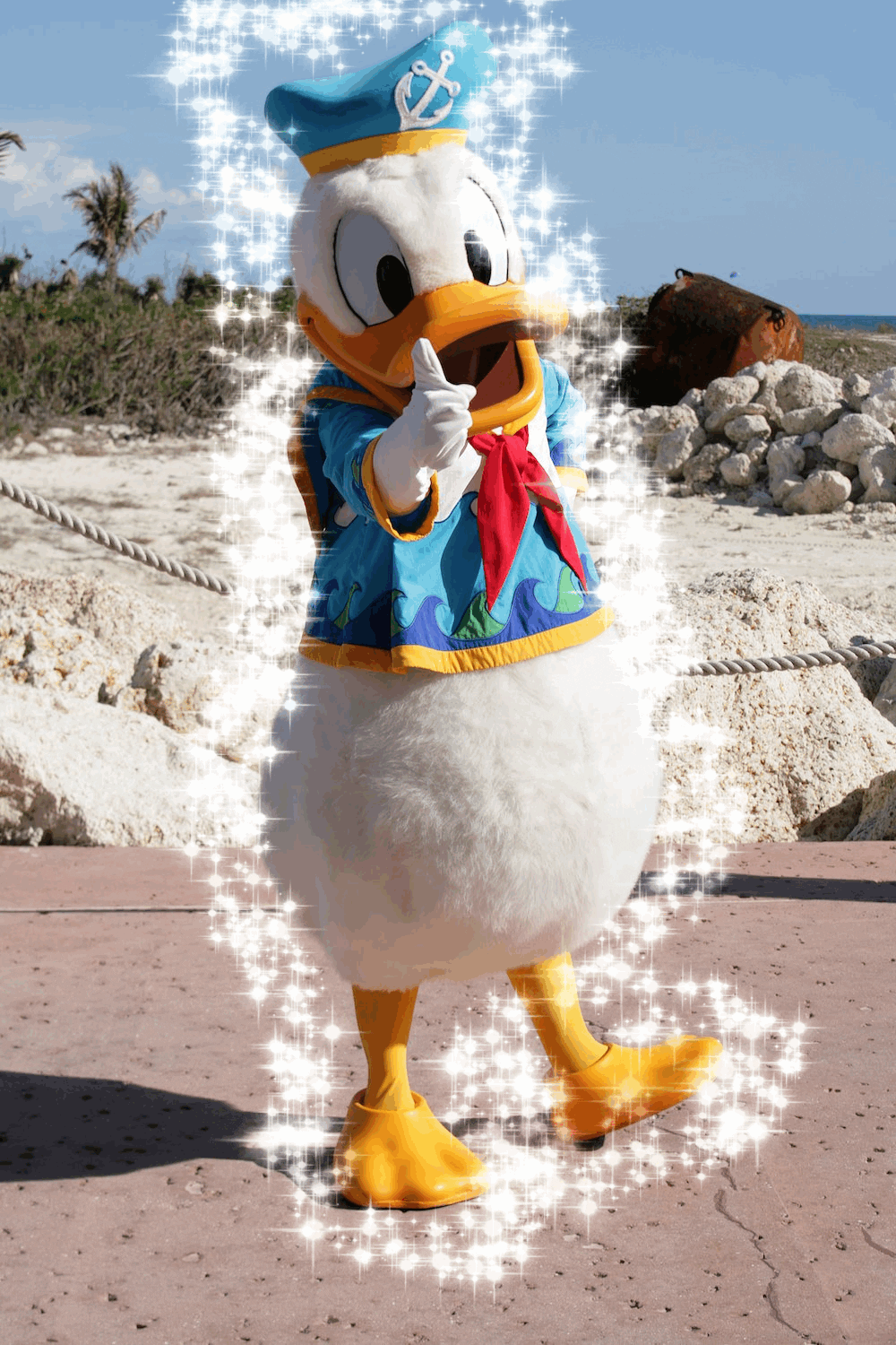 Welcome to Donald Duck Day