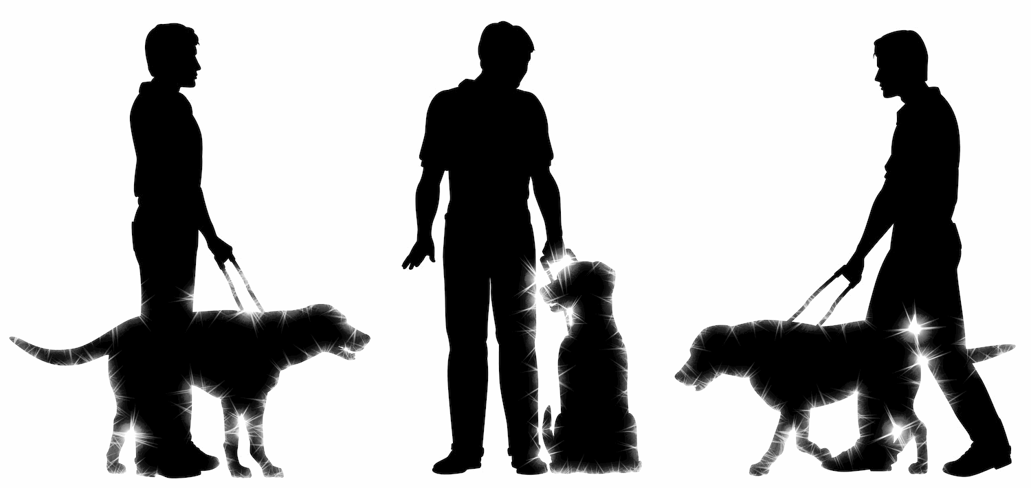 Let's Hear It For Guide Dogs