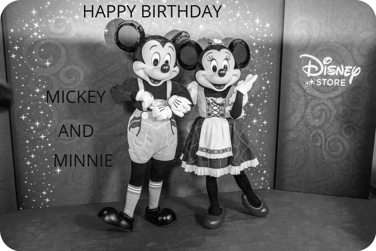 Happy Birthday Mickey &amp; Minnie Mouse