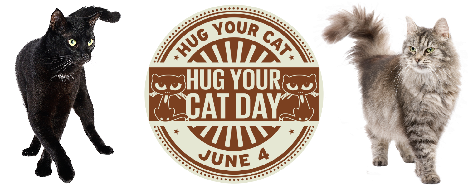 Hug Your Cat Day