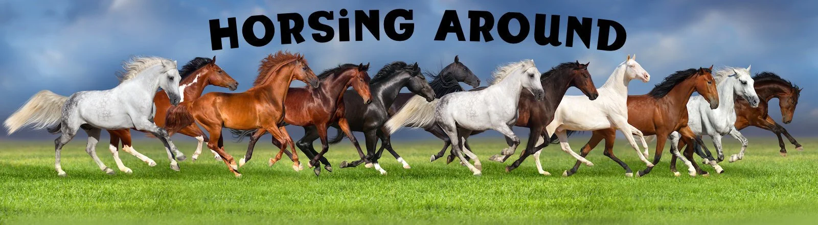 Horsing Around At The Corner Café