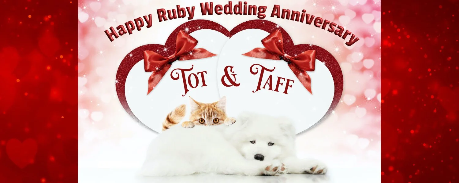 Happy Ruby Wedding Anniversary, TOT &amp; Taff!!