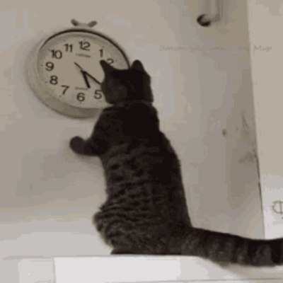 ⌛⏰⌚Time