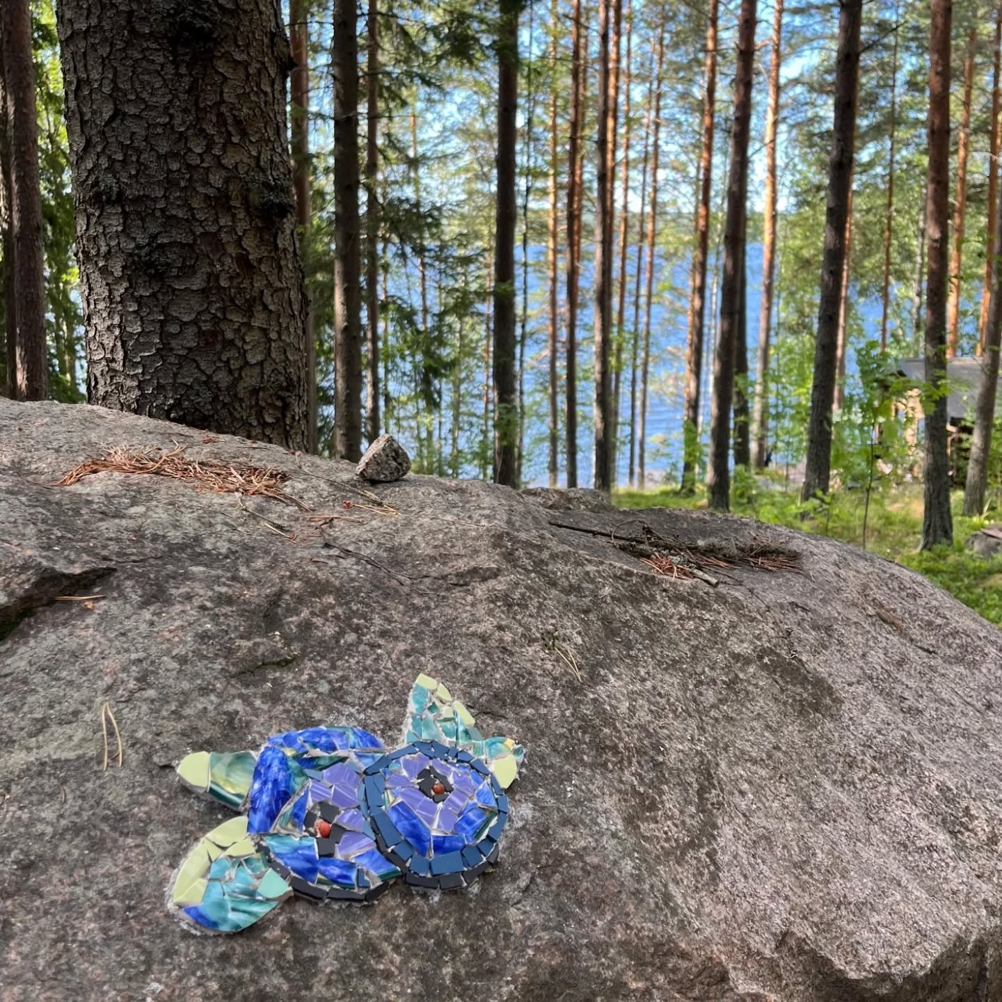 How will these mosaics survive the harsh Finnish winter? Probably badly. We will see in the spring. (This is in our cabin)

🫐🫐🫐🫐🫐🫐

Ulkoilmamosaiikkikokeilu numero 1 m&ouml;kill&auml; (Lannevesi)

Mitenk&auml;h&auml;n t&auml;mm&ouml;inen luonno