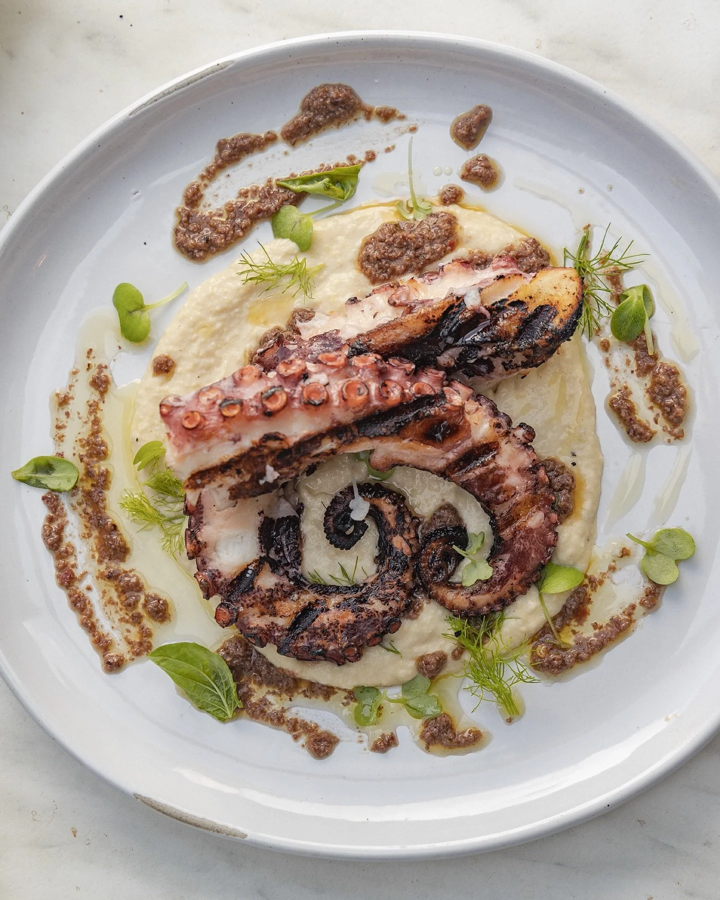 POLIPO, grilled octopus, garbanzo bean, puree, and black olive pesto. Buon appetitio!
