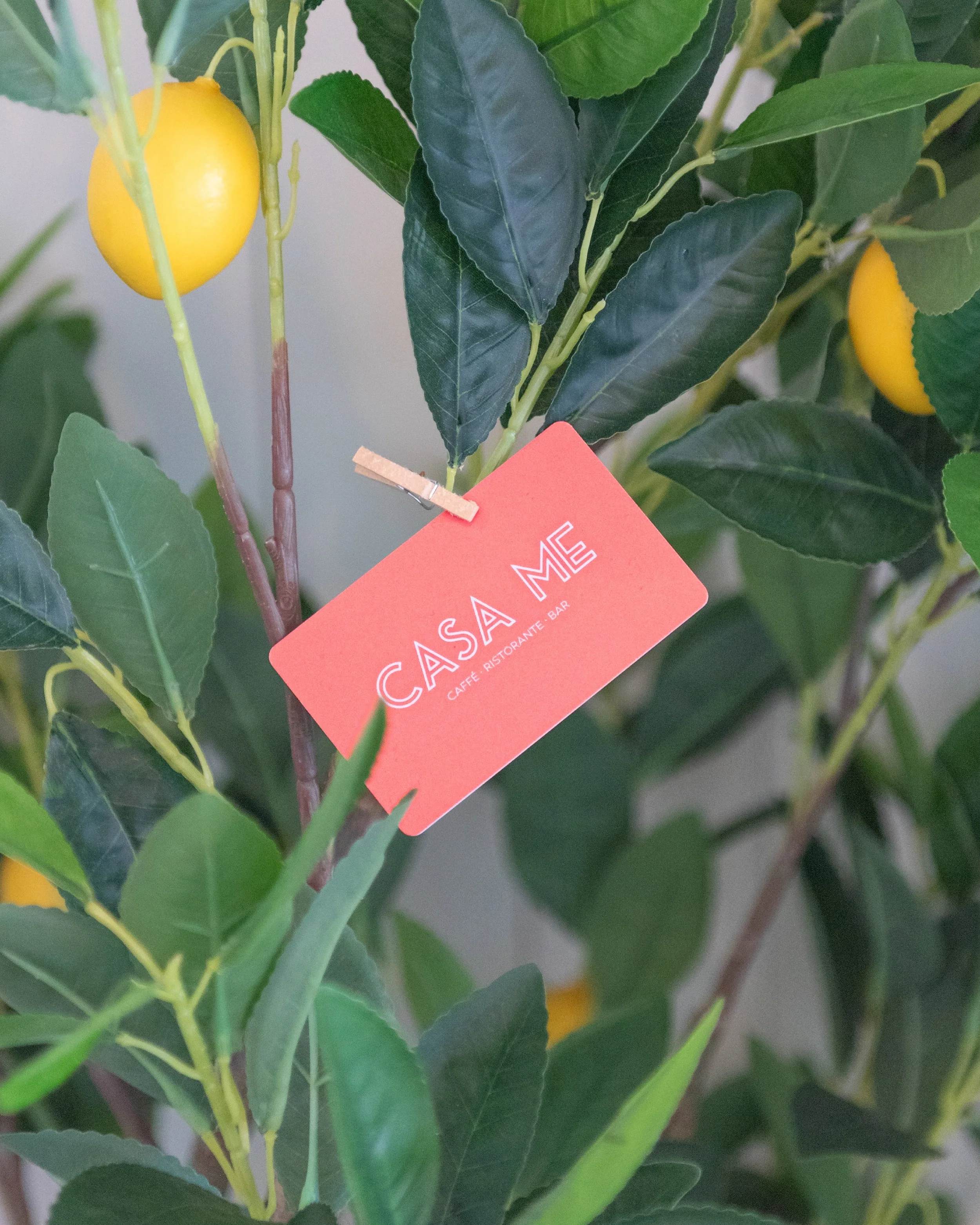 Give a loved one a taste of Italy. Gift cards availble in-store or online through the link in our bio.