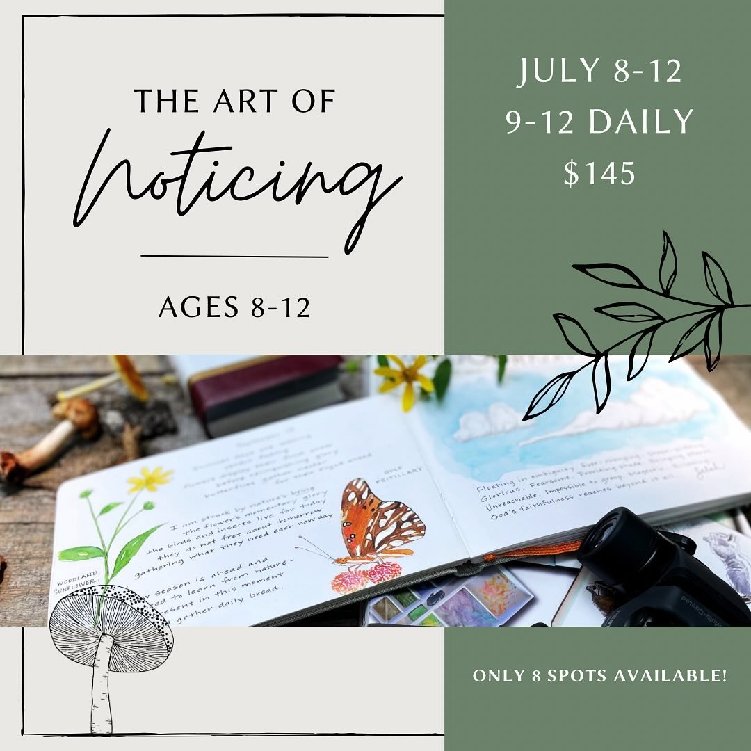 It&rsquo;s finally happening: my first official nature workshop, day camp style, is taking place in July! I&rsquo;ve spent the last week working on my website (so happy with how it turned out) and getting valuable input. And now, I&rsquo;m over the m
