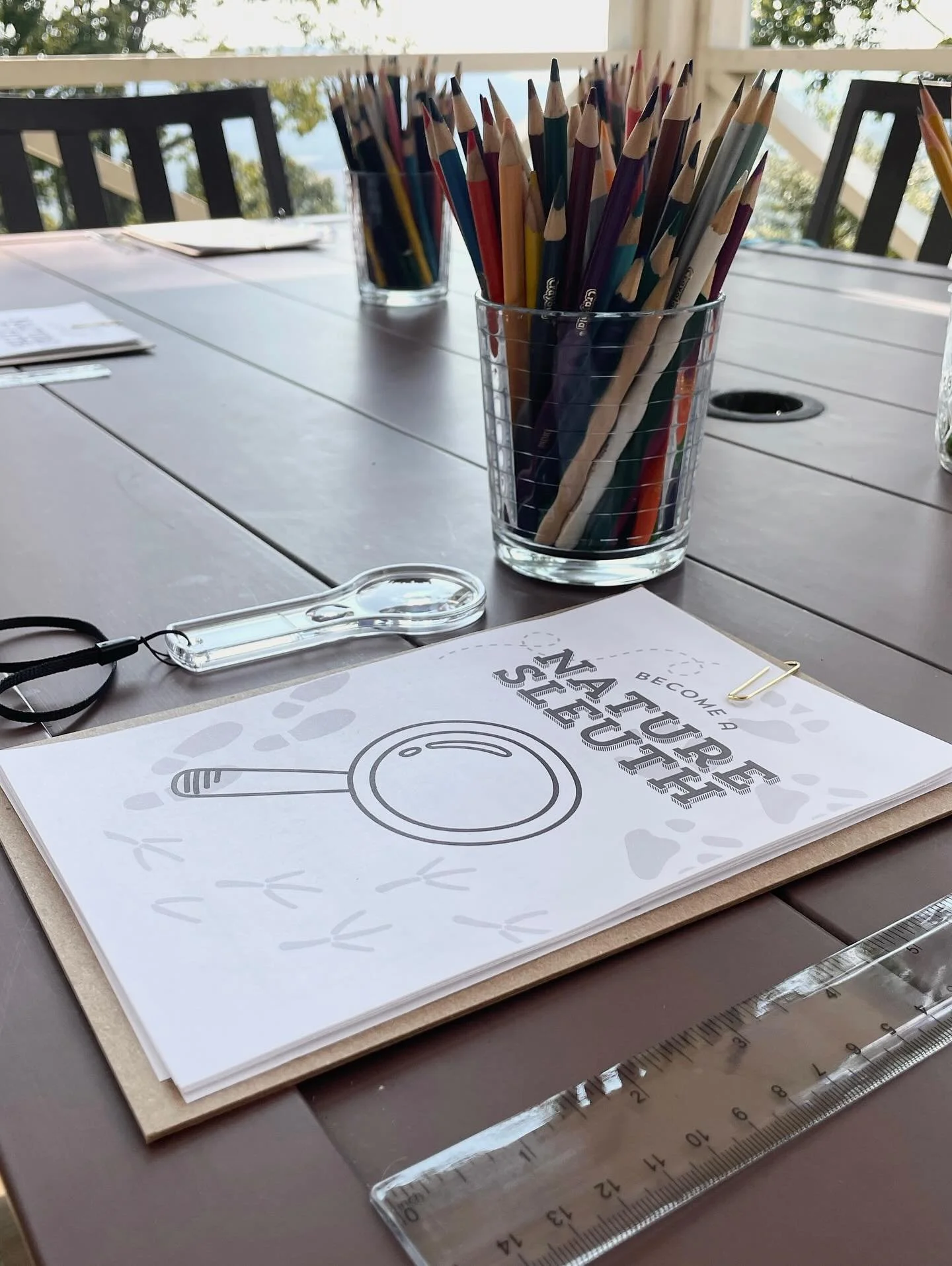 I am incredibly excited to introduce a brand new workshop for 8-12 year olds, &ldquo;Become a Nature Sleuth.&rdquo; I will be teaching this at Cooks Museum in early 2026 and would love to partner with education co-ops and nature based organizations t