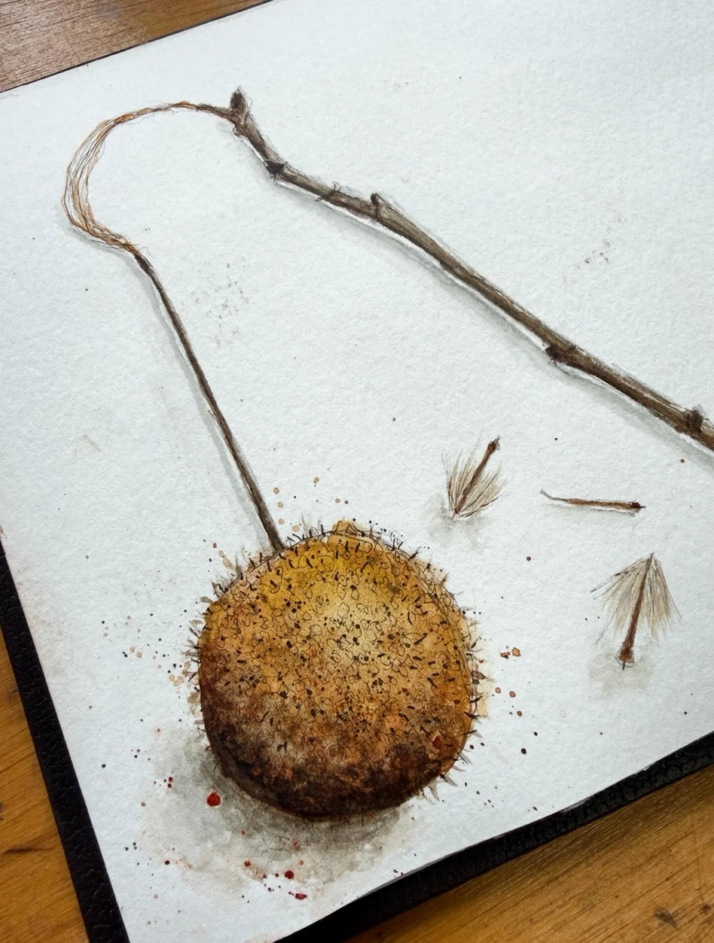 I&rsquo;m having the best time pulling out all the treasures I&rsquo;ve collected and revisiting previous sketches that correlate with my theme. It is a process of sorting thoughts I&rsquo;ve already written and brainstorming potential directions. I&