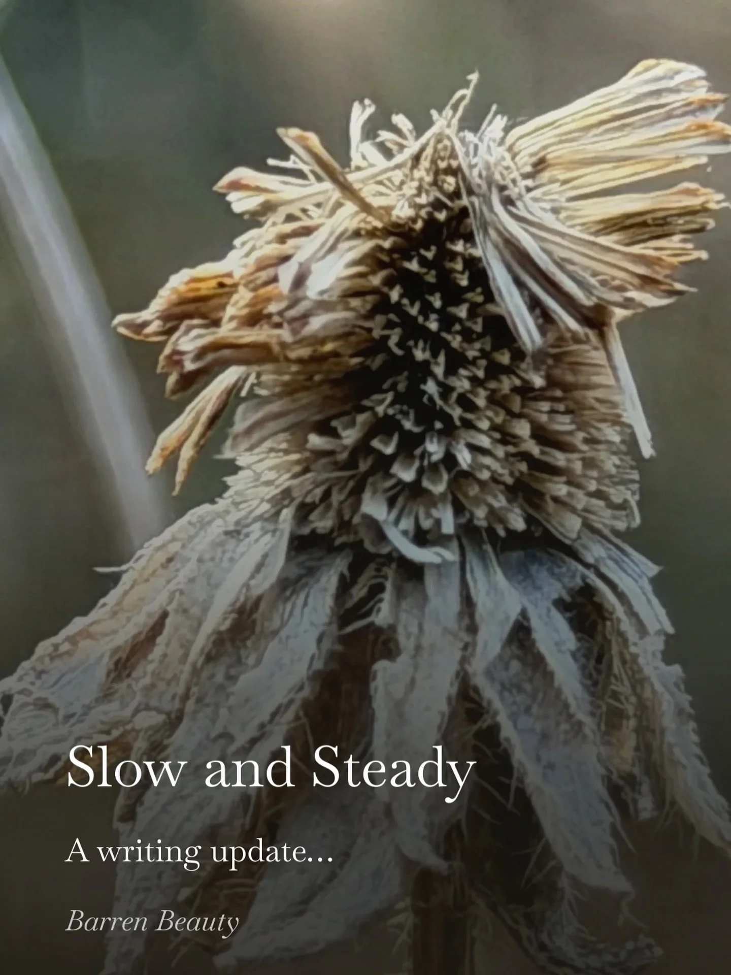 The flow that&rsquo;s been so fast and fun took a shift this past week. I knew it would eventually feel more like work and less like play, but I had hoped I'd get the ride that wave a bit longer! Here&rsquo;s a short Substack update on the creative p