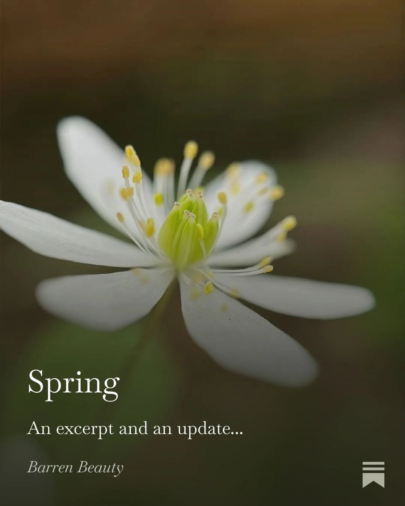 Only jumping ahead about 12 chapters or so! 😜 But with Spring&rsquo;s arrival, I thought I would share an excerpt to match the season and a little update about the writing journey which is still very much in process! Link to Substack in my profile.