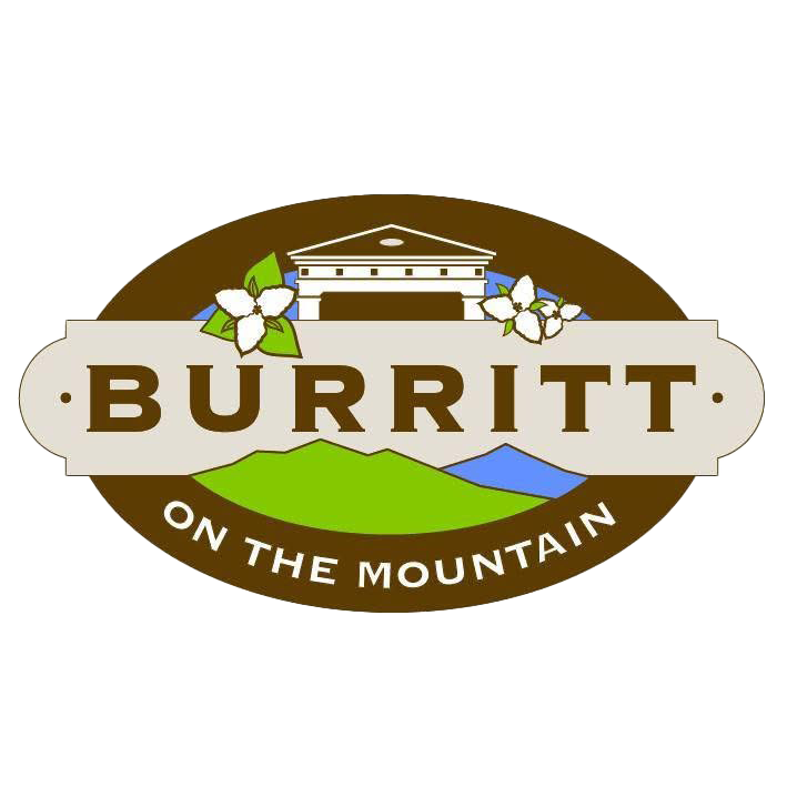 Art of Noticing Workshop