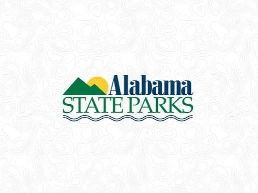 Art of Noticing Workshop 