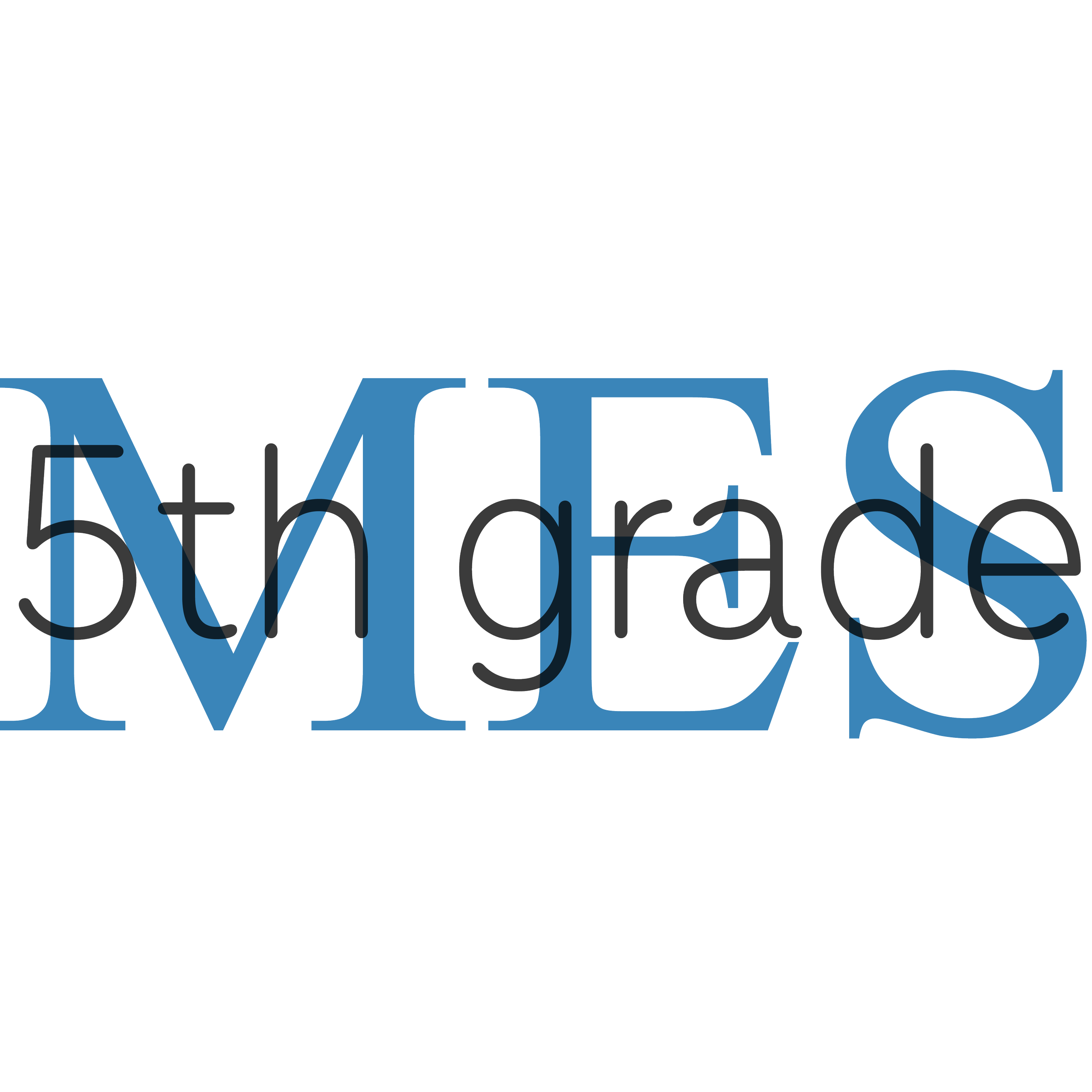 All class labels for website MES.png