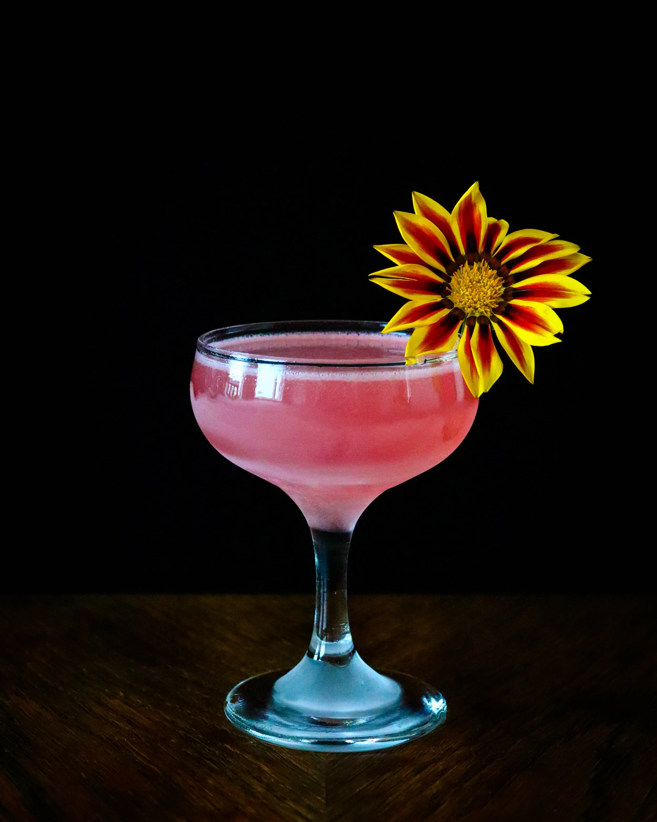 Pink Katydid