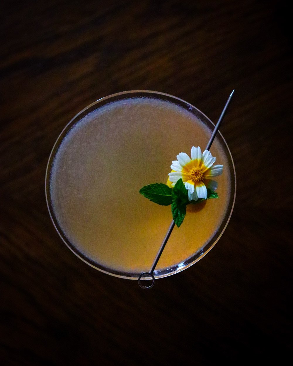 Star Daisy 3.jpg